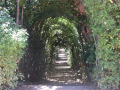 Giardino Bobolia